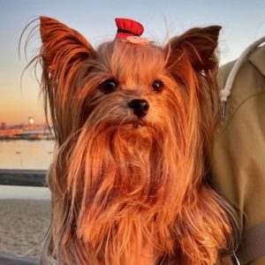 7歳のお誕生日おめでとうございます🎂